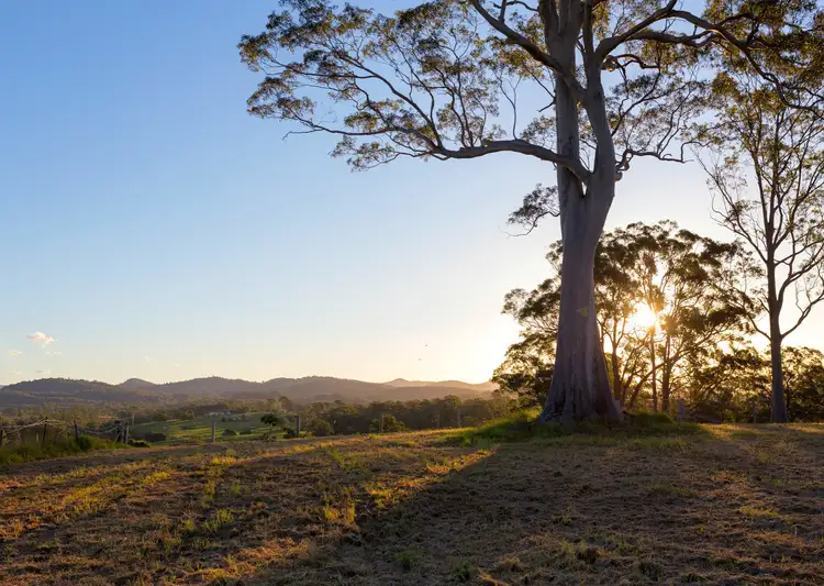 Third view of Homely rural property listing, 79 Glenyarra Road, Wingham NSW 2429