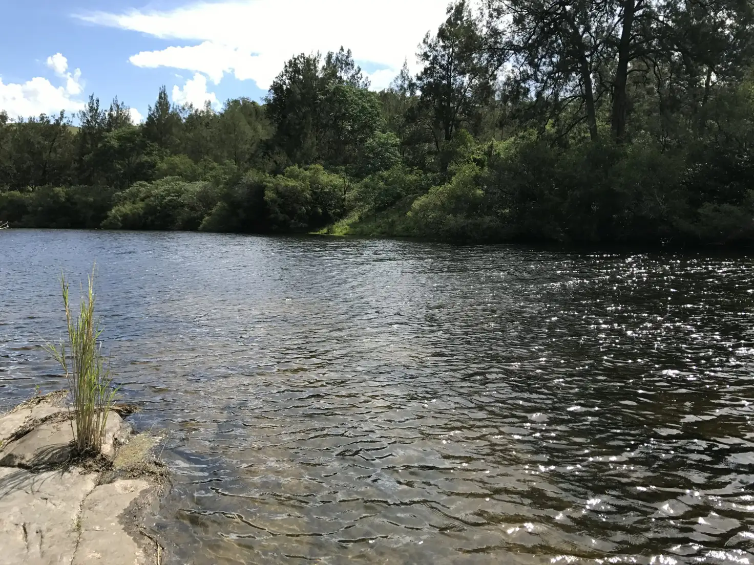 Main view of Homely rural property listing, Address available on request