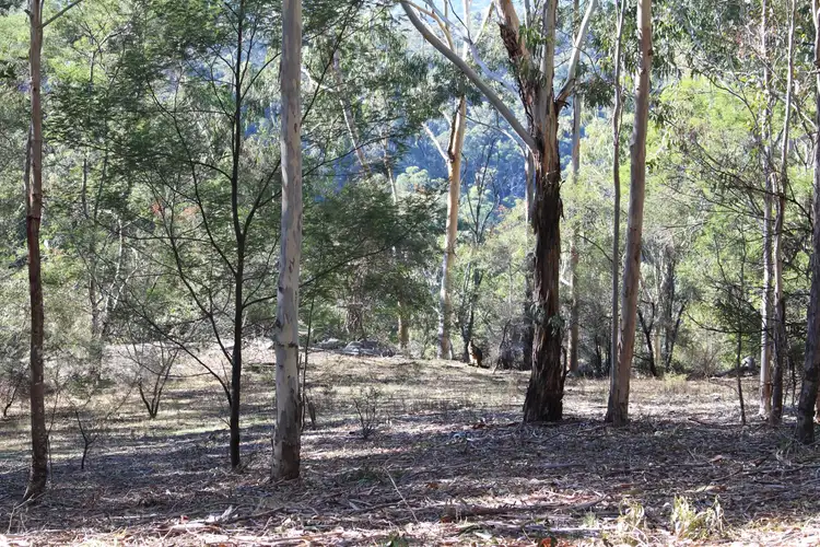 Third view of Homely land listing, 142 Eagles Nest Road, Brogo NSW 2550