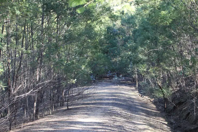 Fifth view of Homely land listing, 142 Eagles Nest Road, Brogo NSW 2550