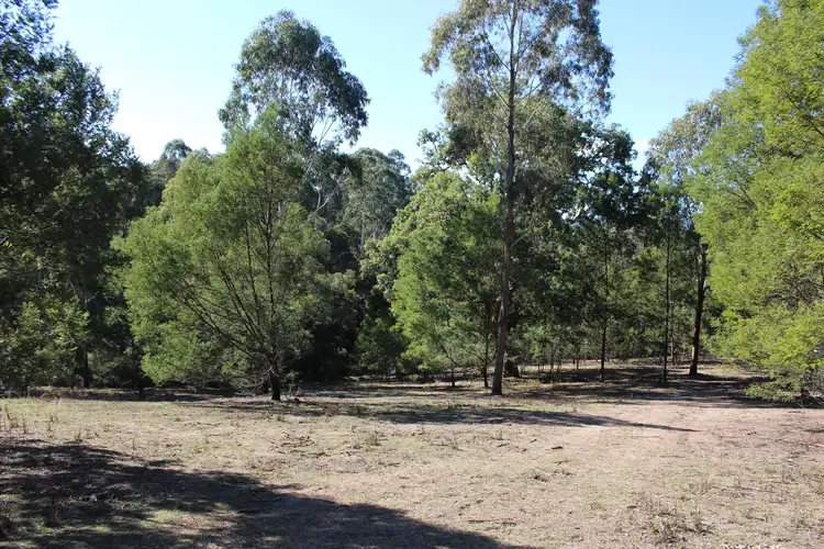 Sixth view of Homely land listing, 142 Eagles Nest Road, Brogo NSW 2550