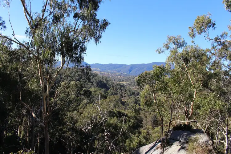 Seventh view of Homely land listing, 142 Eagles Nest Road, Brogo NSW 2550