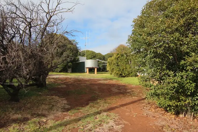Fifth view of Homely house listing, 6 Boree Street, Cudal NSW 2864