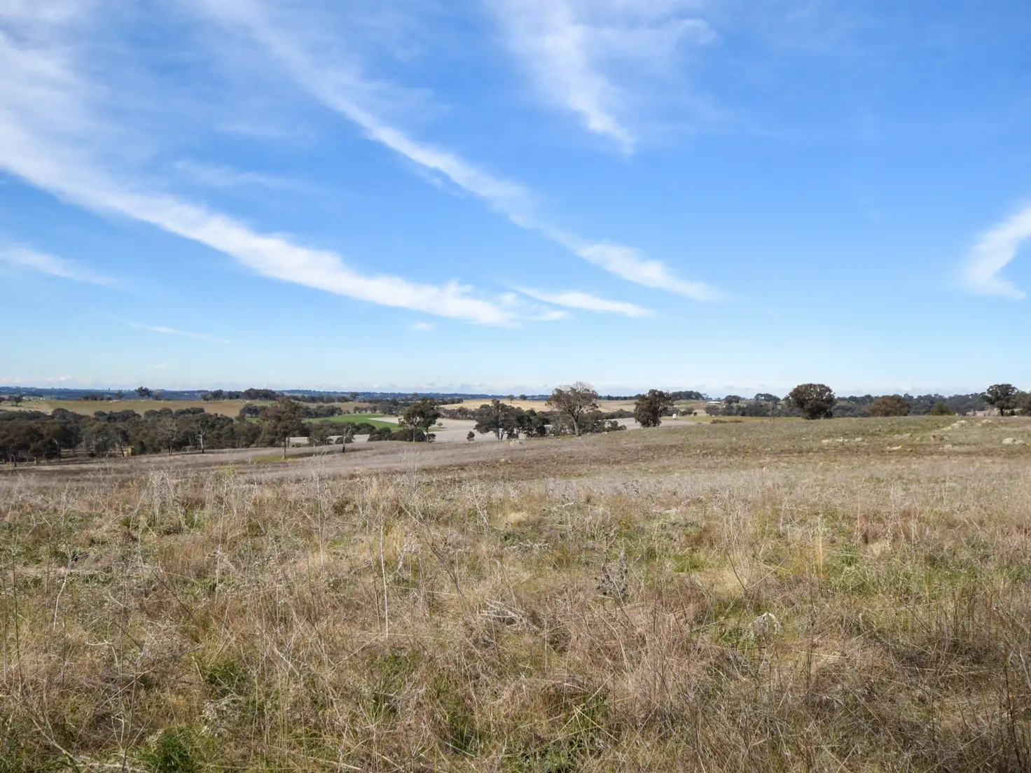 Main view of Homely land listing, 289 Wickham Lane, Young NSW 2594