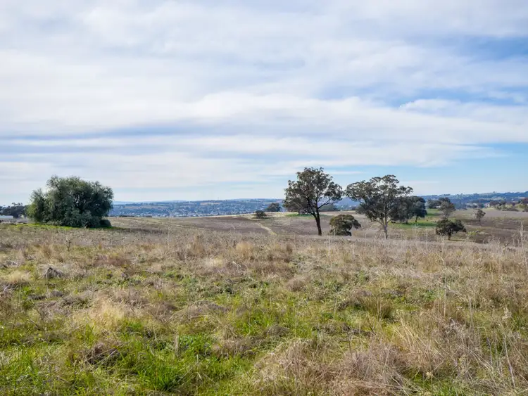 Third view of Homely land listing, 289 Wickham Lane, Young NSW 2594