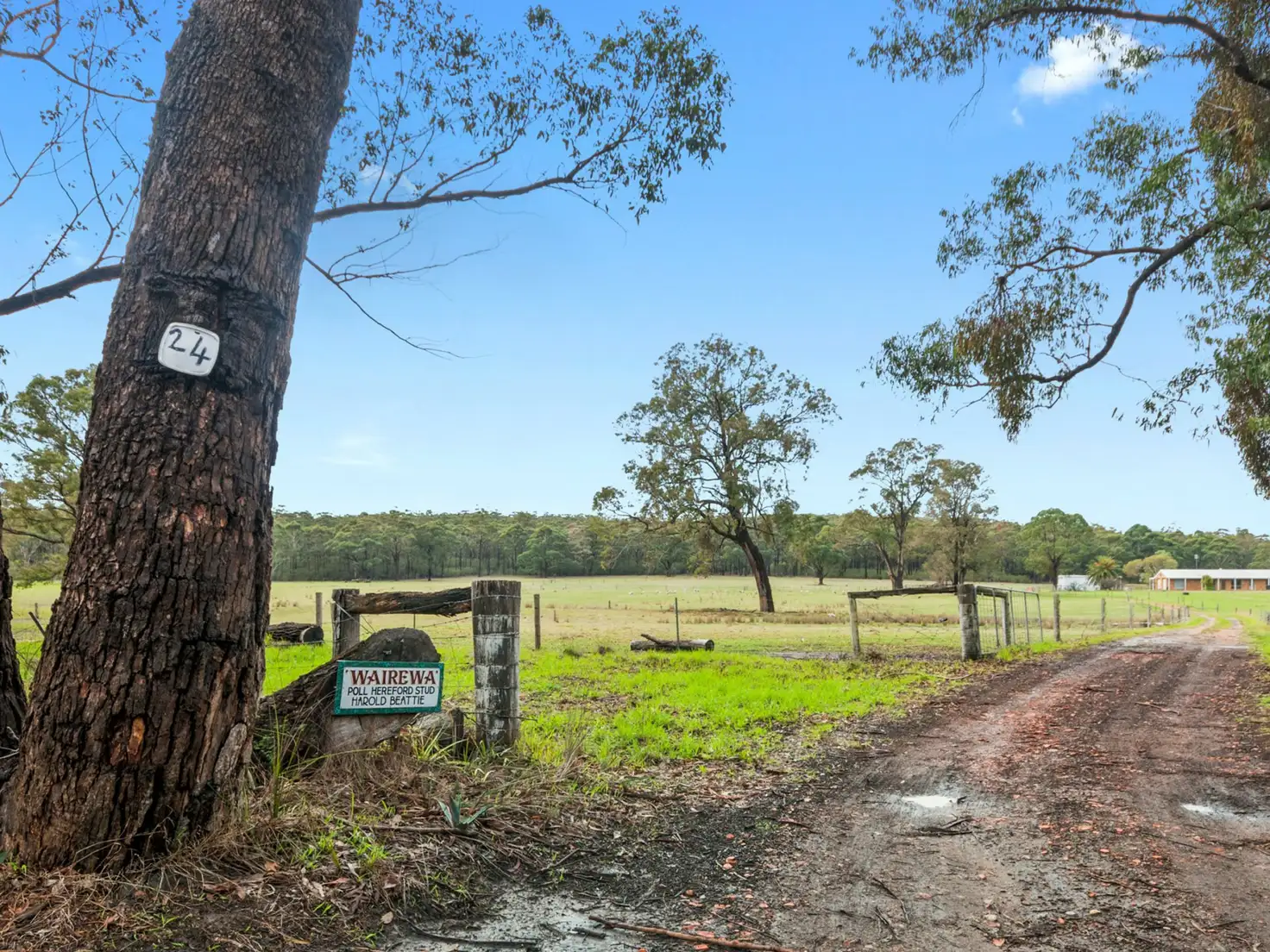 Main view of Homely house listing, 24 Thoms Road, Wairewa VIC 3887