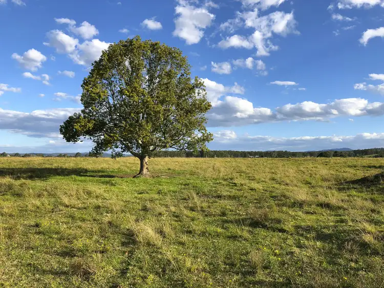 Fourth view of Homely rural property listing, 65 Tarrumbi Way, Taree NSW 2430