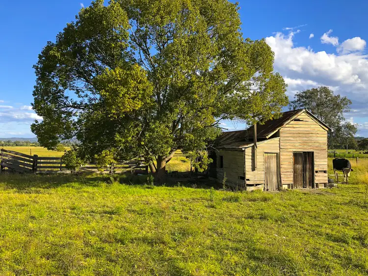 Sixth view of Homely rural property listing, 65 Tarrumbi Way, Taree NSW 2430