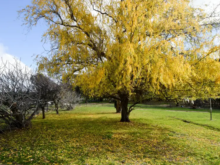 Sixth view of Homely house listing, 973 Kingsvale Road, Young NSW 2594