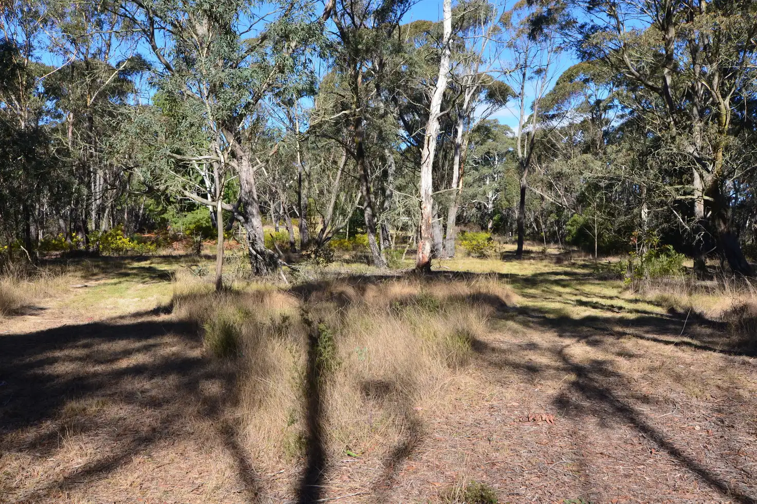 Main view of Homely rural property listing, 66 Valley View Road, Dargan NSW 2786