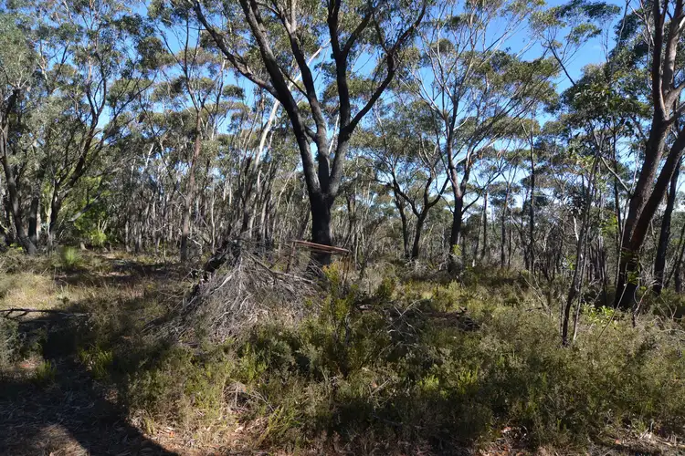 Fourth view of Homely rural property listing, 66 Valley View Road, Dargan NSW 2786
