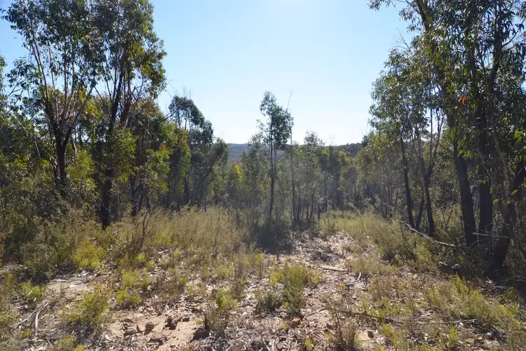 Sixth view of Homely rural property listing, 66 Valley View Road, Dargan NSW 2786