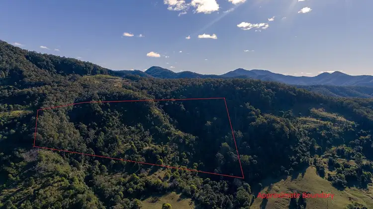 Second view of Homely rural property listing, Lot 251 Whip Mountain Road, Yarranbella NSW 2447