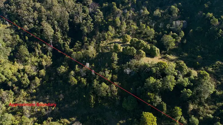 Third view of Homely rural property listing, Lot 251 Whip Mountain Road, Yarranbella NSW 2447
