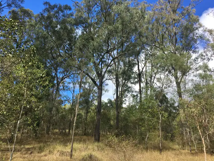 Third view of Homely land listing, Lot 3 Wattle Camp Road, Wattle Camp QLD 4615