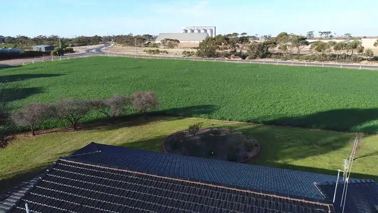 Second view of Homely rural property listing, 684 Woorinen Road, Woorinen South VIC 3588