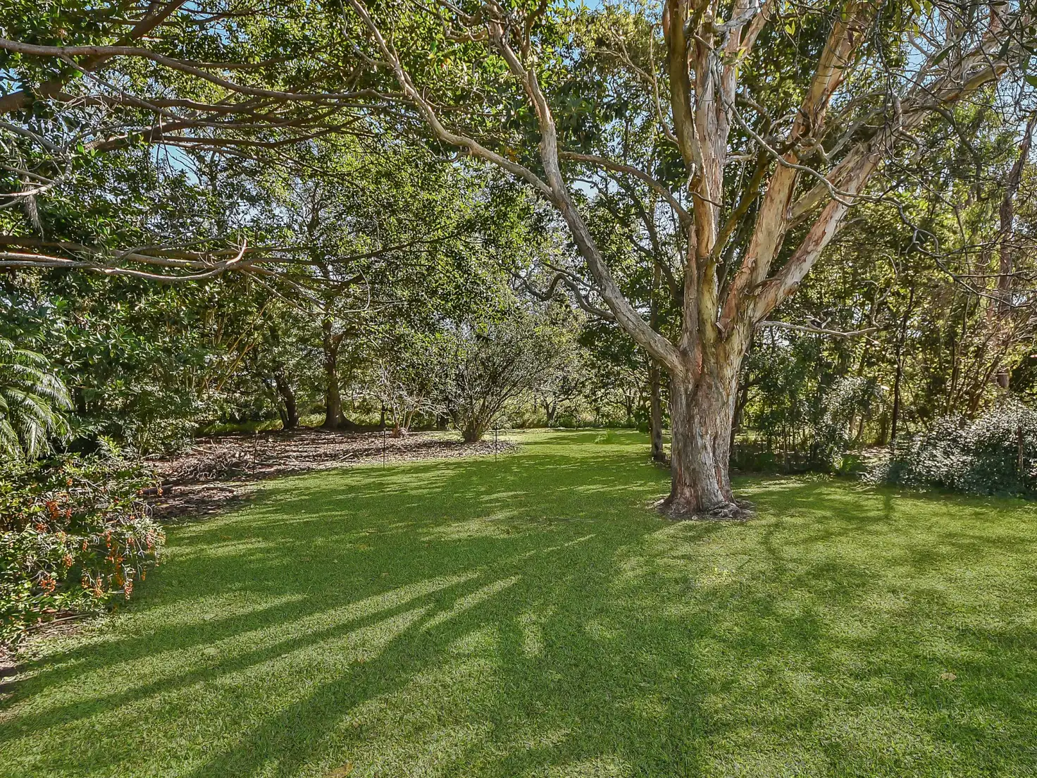 Main view of Homely house listing, 14 Summerfield Street, Aspley QLD 4034