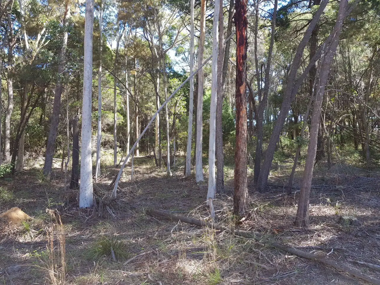 Main view of Homely land listing, 13 Tulloch Street, Russell Island QLD 4184