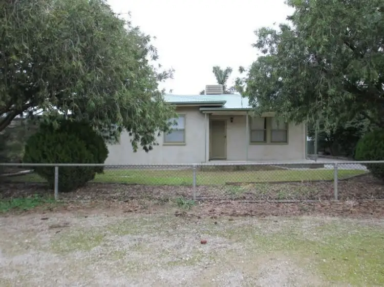 62 Tiddy Avenue, Maitland SA 5573
