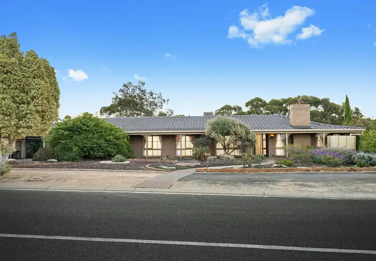 Second view of Homely house listing, 16 Derrick Street, Berri SA 5343