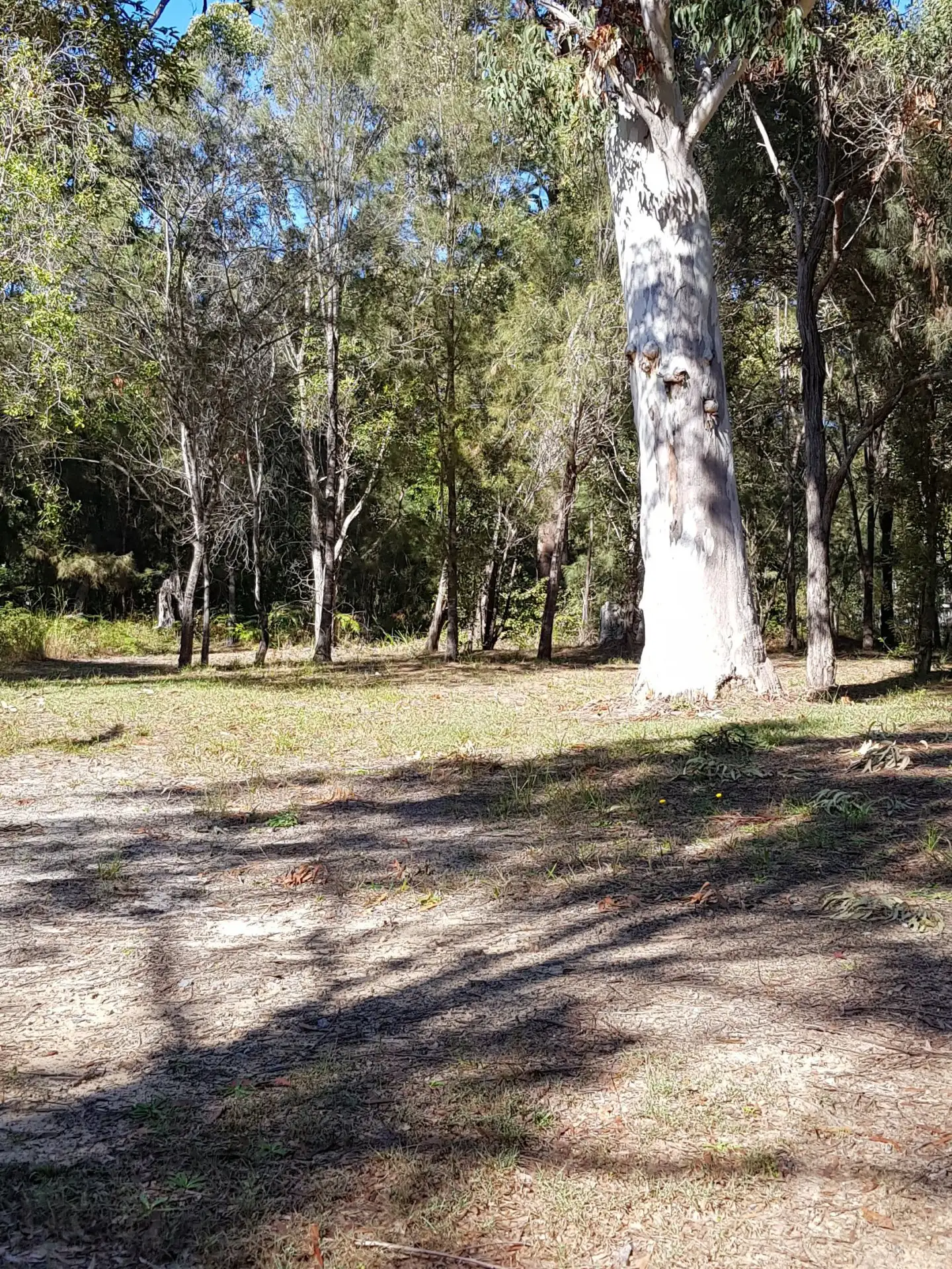 Main view of Homely land listing, 22 Falconhurst Road, Russell Island QLD 4184