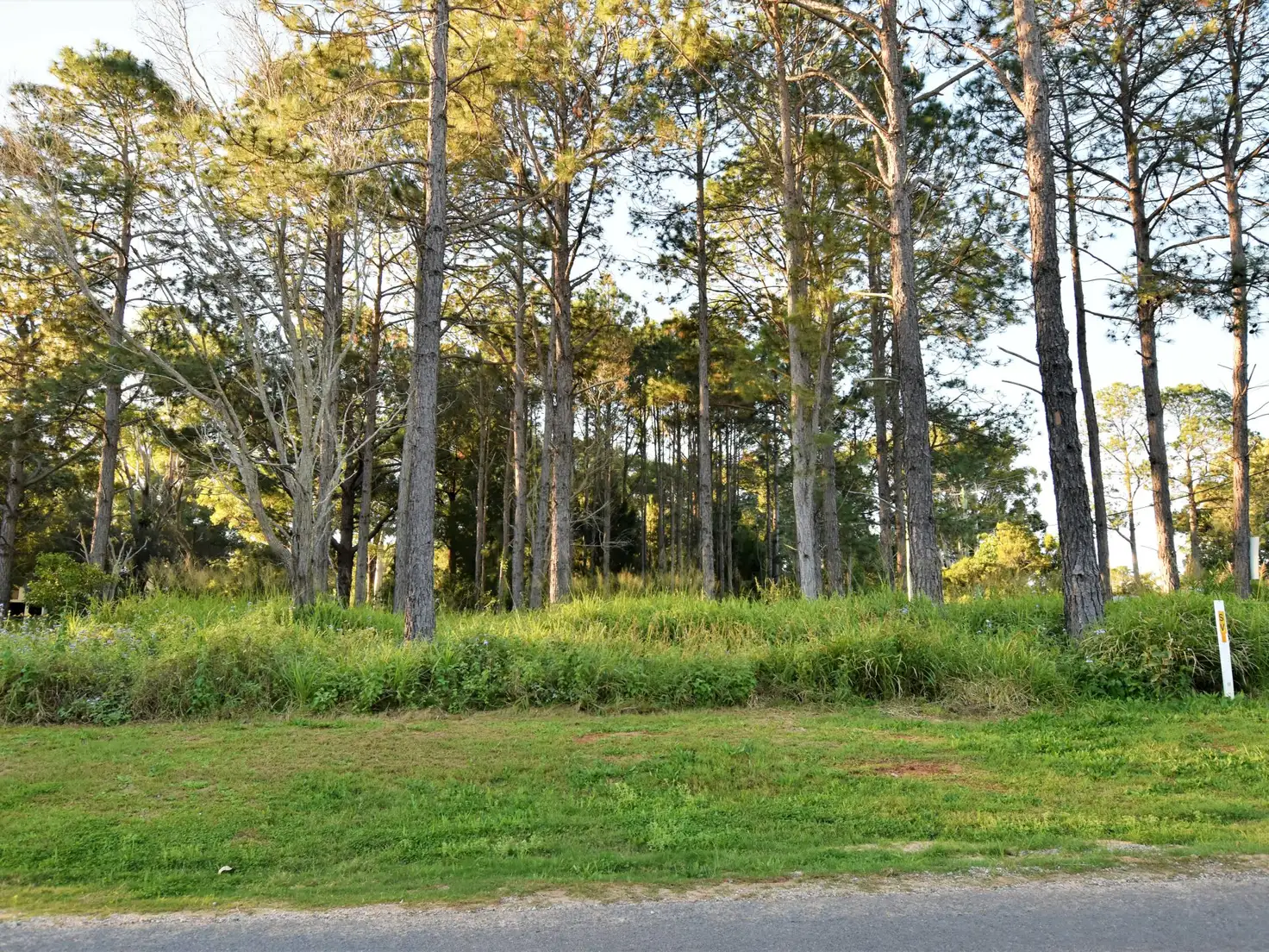 Main view of Homely land listing, 85 Laurel Street, Russell Island QLD 4184