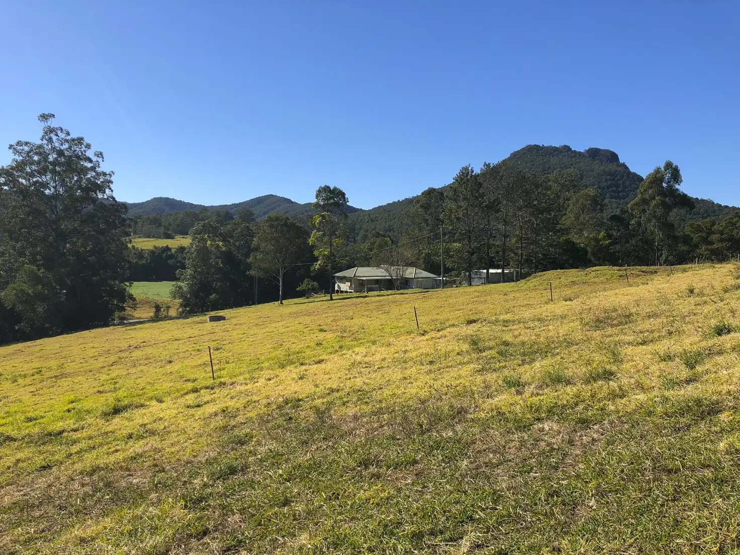 Main view of Homely rural property listing, 1821 Comboyne Road, Killabakh NSW 2429