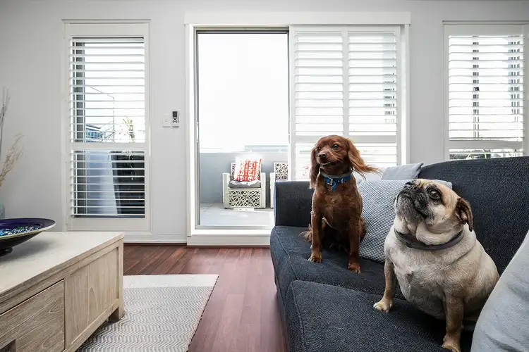 Sixth view of Homely apartment listing, 5/1741-1745 Pittwater Road, Mona Vale NSW 2103