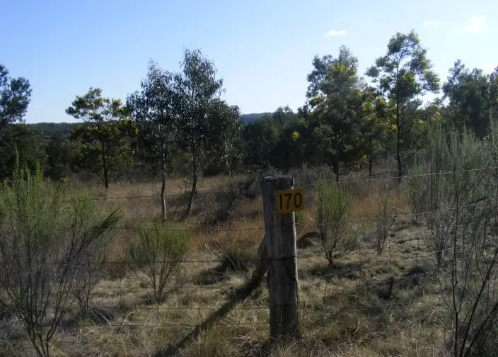 Main view of Homely rural property listing, 170 Red Hills Road, Marulan NSW 2579