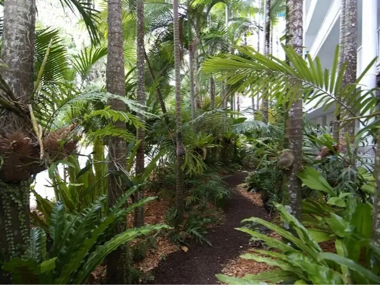 Fifth view of Homely unit listing, Apartment 11/69-73 Arlington Esp, Clifton Beach QLD 4879