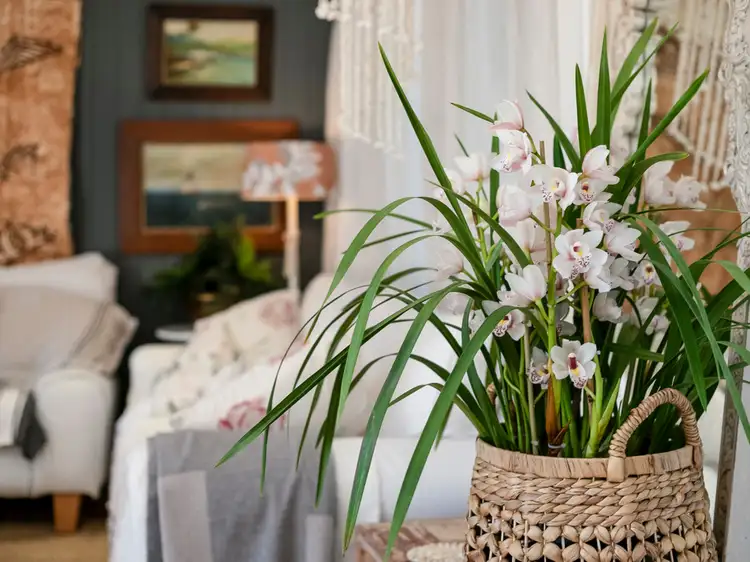 Sixth view of Homely house listing, 19 Waterview Street, Mona Vale NSW 2103