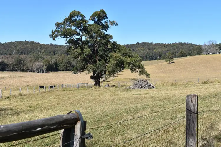 Seventh view of Homely rural property listing, 573 Taylors Arm Road, Congarinni NSW 2447