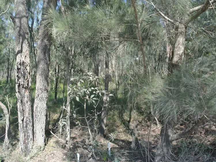 Fourth view of Homely land listing, 22 Wirralee Street, Macleay Island QLD 4184