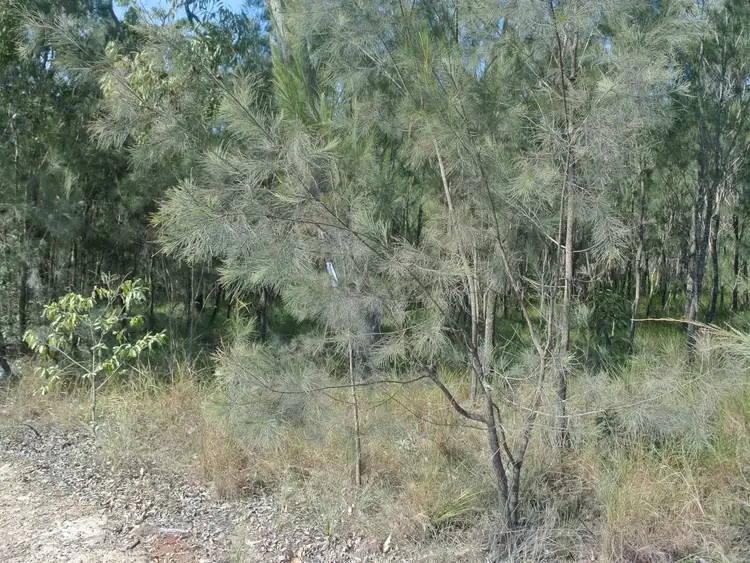 Seventh view of Homely land listing, 22 Wirralee Street, Macleay Island QLD 4184