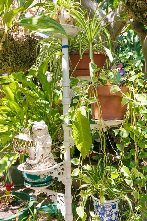 Sixth view of Homely house listing, 249 Sydney Road, Fairlight NSW 2094