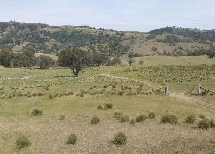 Second view of Homely rural property listing, Lots 11- 7 Levels Road, Golspie NSW 2580