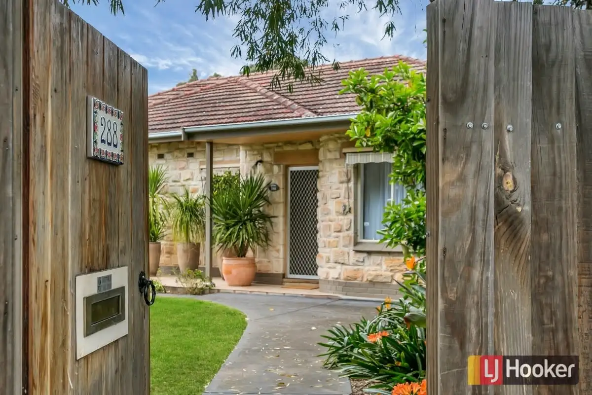 Main view of Homely house listing, 288 Magill Road, Beulah Park SA 5067