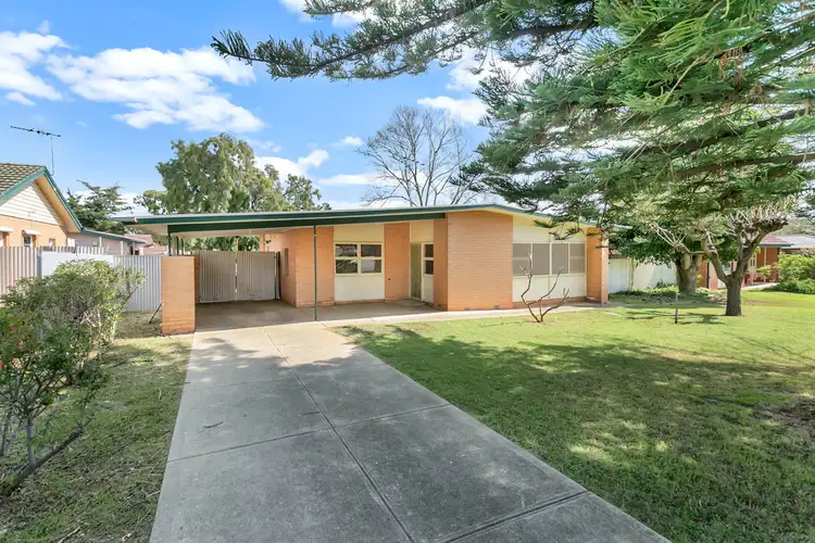 Main view of Homely house listing, 31 Mannington Road, Elizabeth Park SA 5113