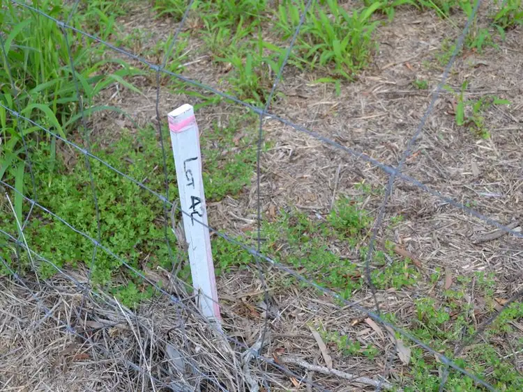Sixth view of Homely land listing, 37 David Street, Linville QLD 4306