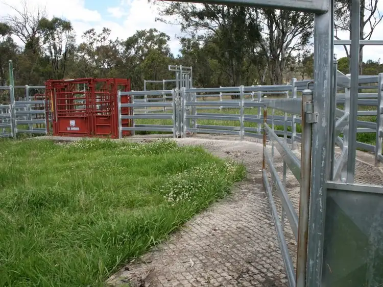 Fifth view of Homely rural property listing, Lot 1 Cunningham Highway, Maryvale QLD 4370