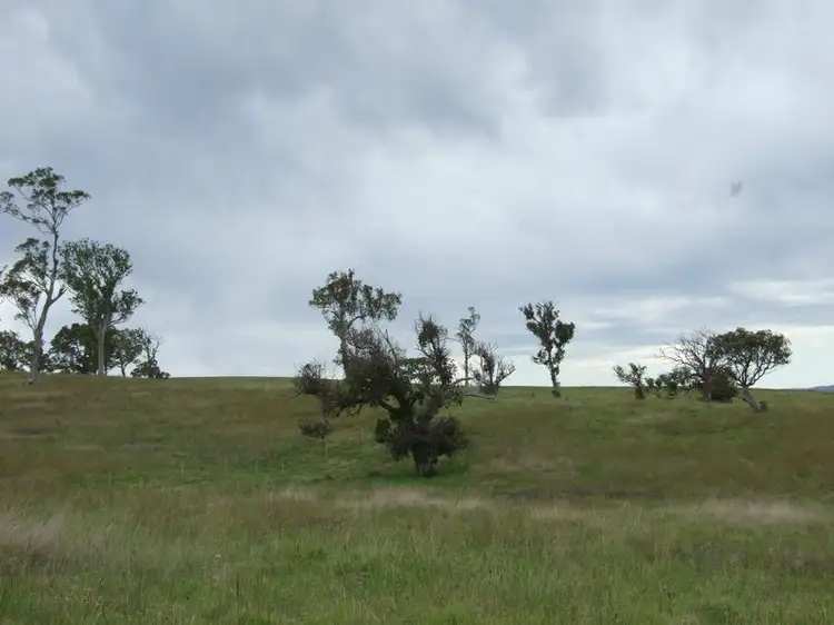 Fifth view of Homely land listing, Lot 5 Newlyns Estate, Bega NSW 2550