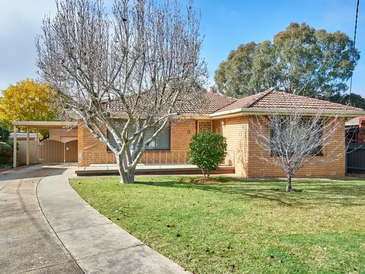 Main view of Homely house listing, 17 Willow Street, Kooringal NSW 2650
