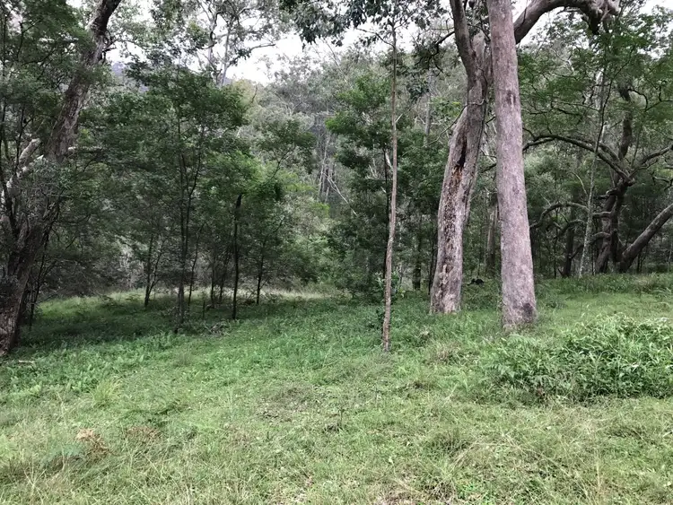 Seventh view of Homely rural property listing, 1383 Enfield Range Road, Cooplacurripa NSW 2424