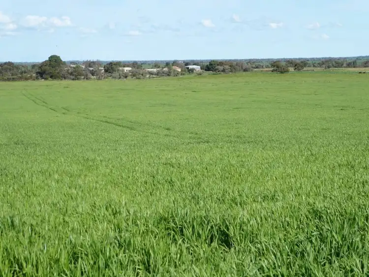 Third view of Homely rural property listing, 967 Bute Road, Kadina SA 5554