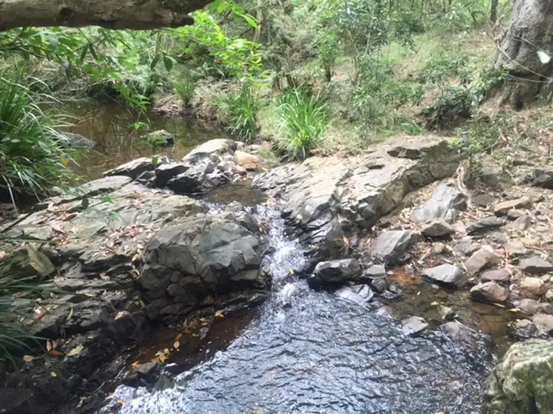 Main view of Homely rural property listing, Address available on request