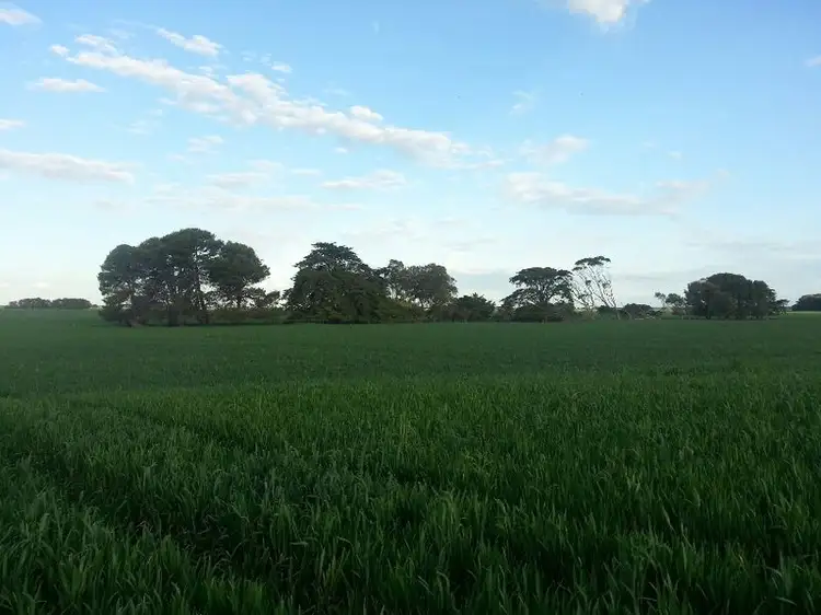 Second view of Homely rural property listing, Hookings Road, Tantanoola SA 5280