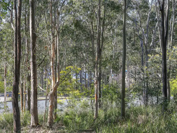 Fifth view of Homely land listing, 57 Whimbrel Drive, Nerong NSW 2423