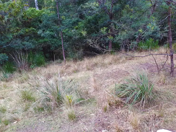 Seventh view of Homely land listing, 16 Clarence Street, Long Beach NSW 2536