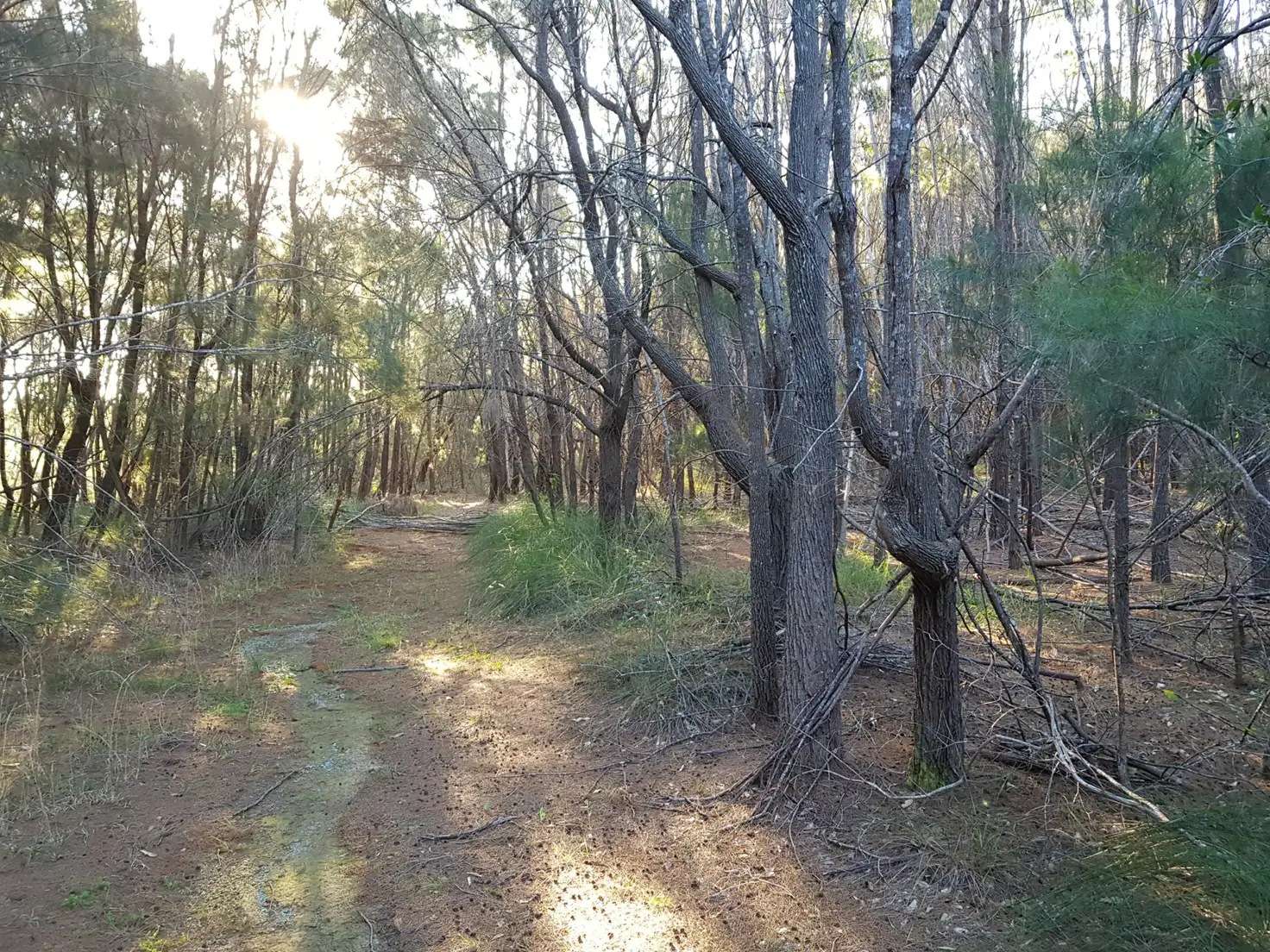 Main view of Homely land listing, 1 Sarmar, Russell Island QLD 4184