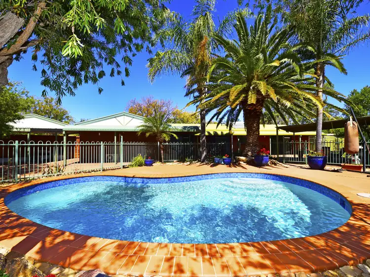 Main view of Homely house listing, 8 Auster Court, Araluen NT 870